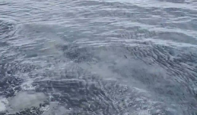 Salda Gölü'nde su kayıpları artıyor