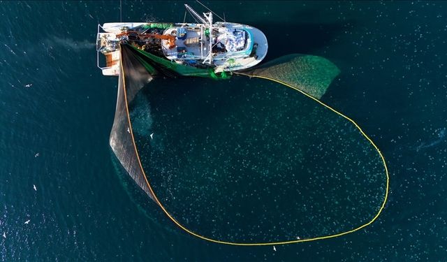 Su ürünleri avcılığı sözleşmeli üretim kapsamına alındı