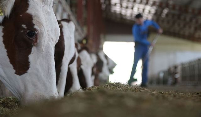 Suni tohumlama yoluyla besilik materyal üretiminin artırılması için protokol imzalandı