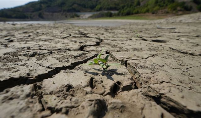 Toprak ile su kaybı, gıdayı ve geleceği doğrudan tehdit ediyor