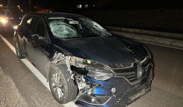 Otomobilin çarptığı 3 kişi hayatını kaybetti