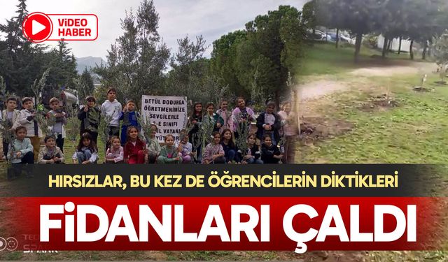 Hırsızlar, bu kez de öğrencilerin diktikleri fidanları çaldı