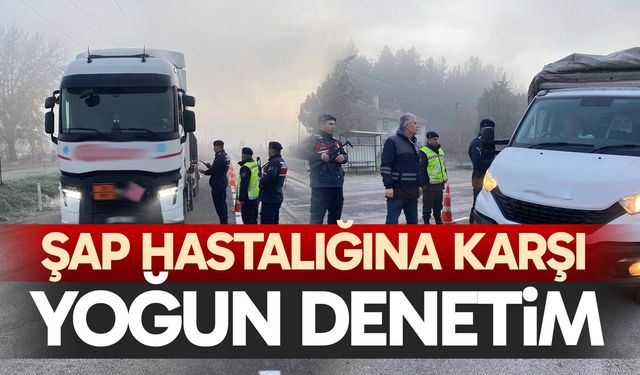 Şap hastalığına karşı yoğun denetim