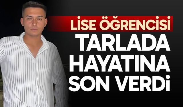 Lise öğrencisi tarlada hayatına son verdi