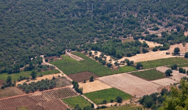 TARLA VASFINDAKİ TAŞINMAZ, ARTIRMA YÖNTEMİ İLE SATILACAKTIR