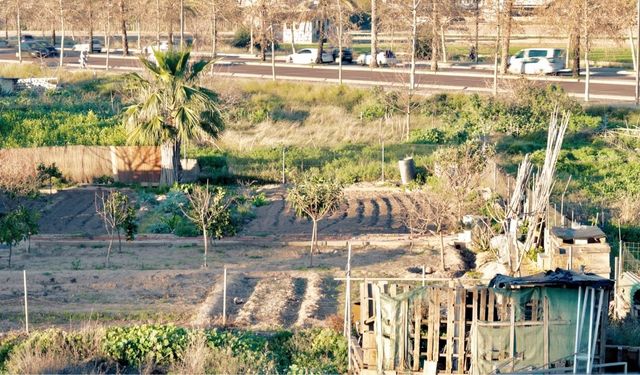 TARLA ÖZELLİKLİ TAŞINMAZ, ARTIRMA YÖNTEMİ İLE SATILACAKTIR