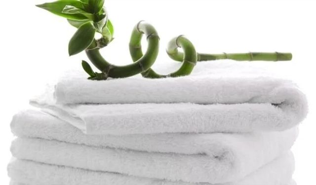 BAMBU HAVLU KUMAŞI SATIN ALINACAKTIR