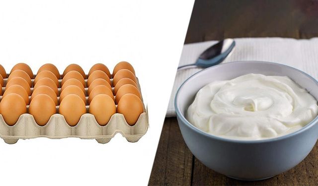GIDA ÜRÜNLERİ SATIN ALINACAKTIR