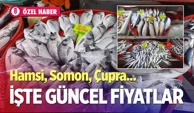 Denizli Balık Fiyatları 2026: Hamsi, Somon, Çupra kaç TL?