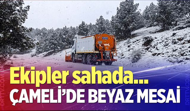 Çameli’de kar mesaisi; Ekipler sahada…