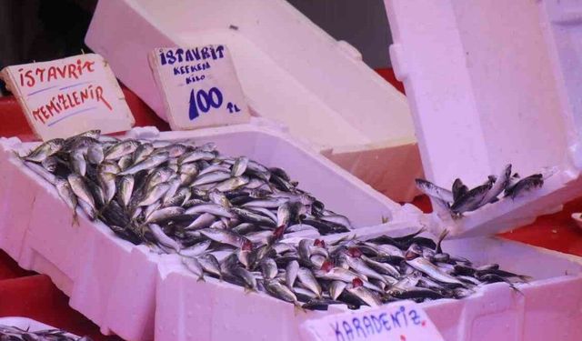 Fiyatlar dibi gördü