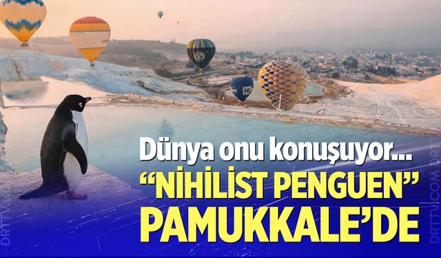 “Nihilist penguen” Pamukkale’de