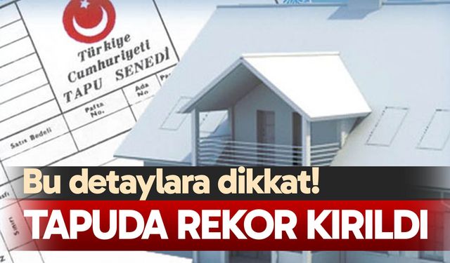 Tapuda rekor kırıldı