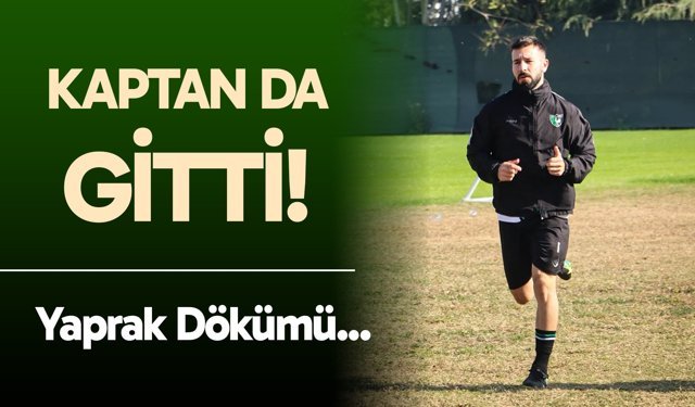 Denizlispor kaptanı Mehmet Ali Ulaman takımdan ayrıldı!