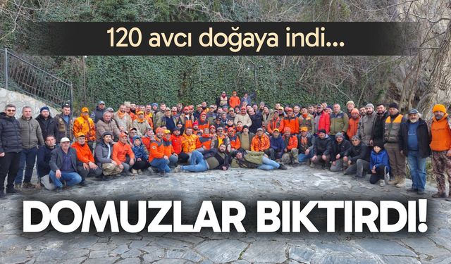 Domuzlar bıktırdı! Güney'de 120 avcı doğaya indi...
