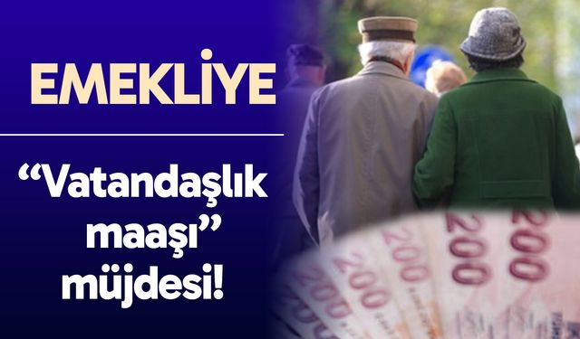 Vatandaşlık maaşı: Emekliler de yararlanacak! Peki uygulama ne zaman başlayacak, kim kaç para alacak?
