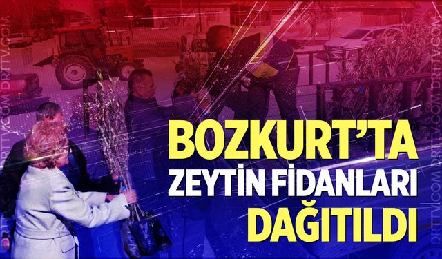 Bozkurt’ta Zeytin Fidanları Dağıtıldı