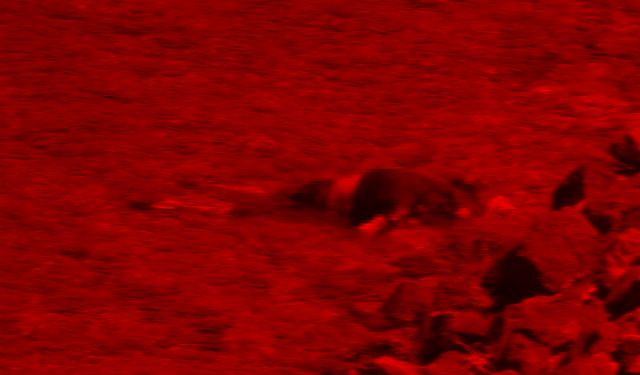 Çanakkale’de karaya vurmuş erkek cesedi bulundu