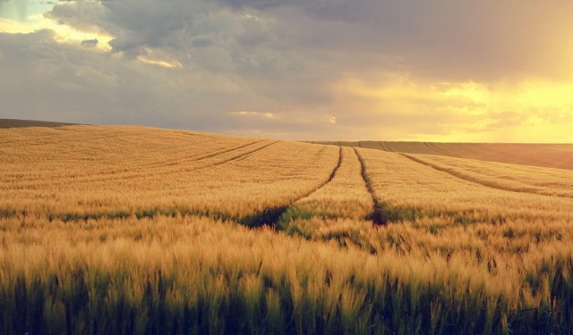 İlk Cemre ne zaman düşecek?