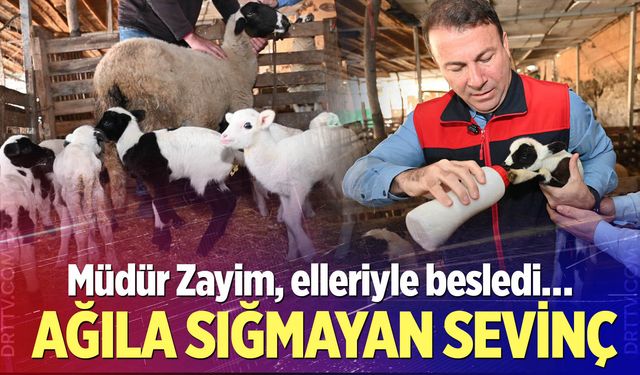 Ağıla sığmayan sevinç