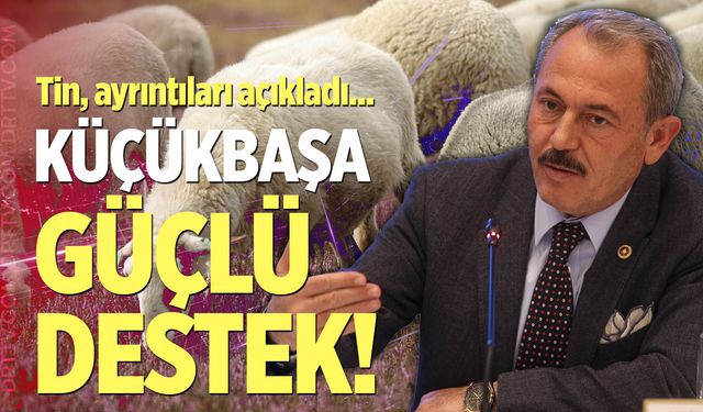 Milletvekili Şahin Tin, projenin ayrıntılarını açıkladı