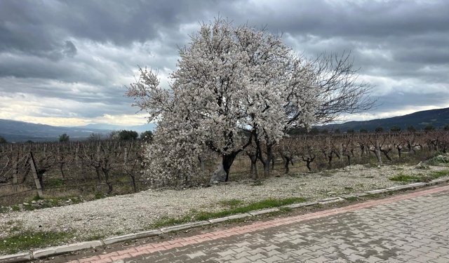 Bahar renkleriyle geliyor