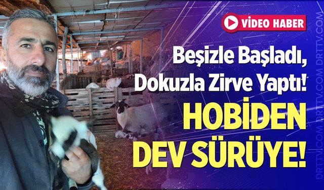 Hobiden Dev Sürüye!