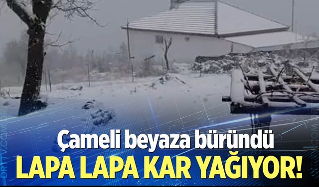 Çameli beyaza büründü..