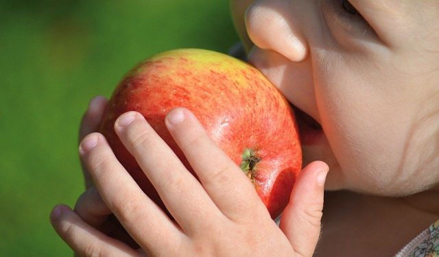 Çocuklarda safra kesesi taşı vakalarında dikkat çeken artış