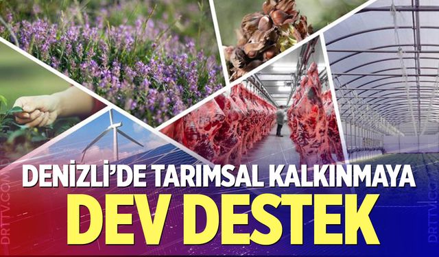 Denizli’de tarımsal kalkınmaya dev destek
