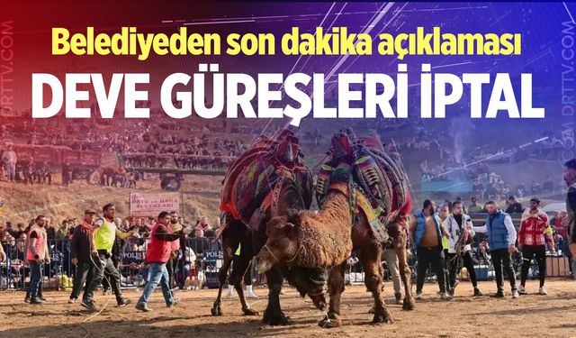 Denizli’nin Sarayköy İlçesinde deve güreşleri iptal edildi
