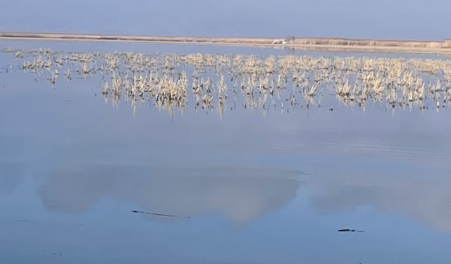 Her damlanın Eber Gölü'ne ulaşması için topyekun mücadele
