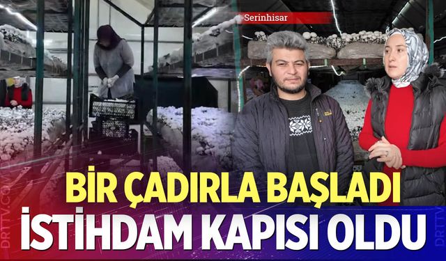 Uzman Eller Projesi Serinhisar’da meyvesini verdi