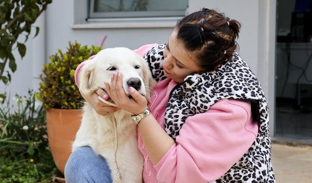 Sokak hayvanları yeni sahiplerini bekliyor