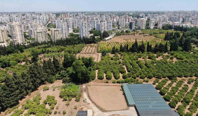 Türkiye son 20 yılda, Antalya’dan büyük tarım alanını kaybetti