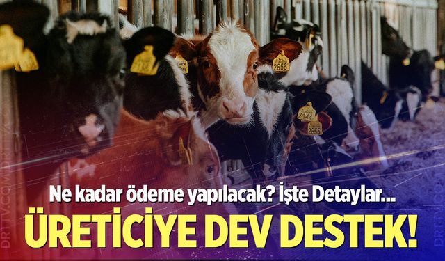 Denizli’de üreticiye dev destek!
