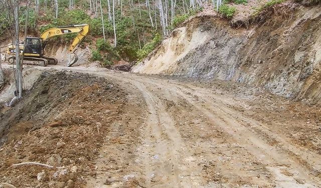 DENİZLİ ORMAN İŞLETME MÜDÜRLÜĞÜ İÇİN B TİPİ ORMAN YOLU YAPIMI HİZMETİ ALINACAK