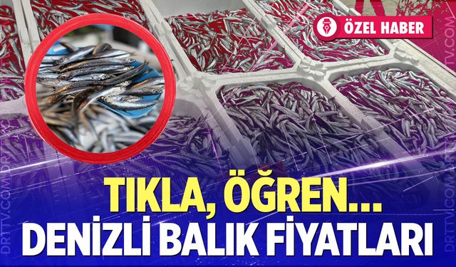 Denizli Balık Fiyatları… Hamsi’nin kilosu kaç TL? Sardalya kaç lira? İşte merak edilenler