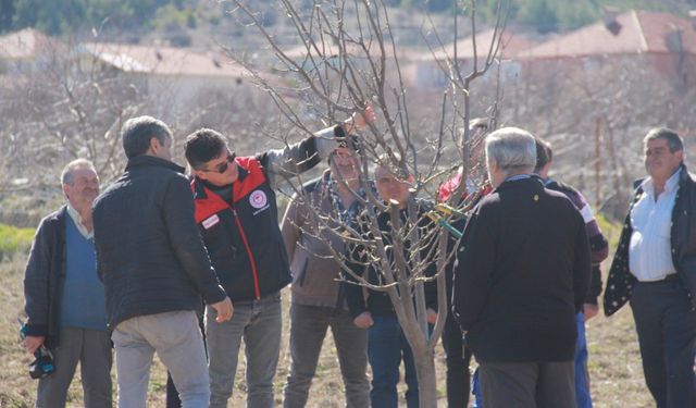 Tarımda verimlilik için sahadalar