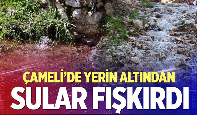 Çameli'de yerin altından sular fışkırdı