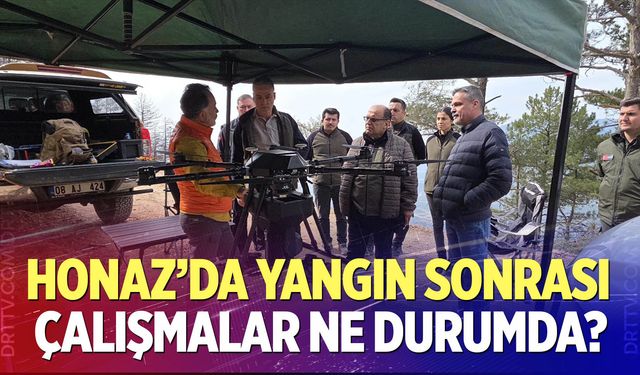 Honaz Dağı’nda Yangın Sonrası Çalışmalar Ne Durumda?