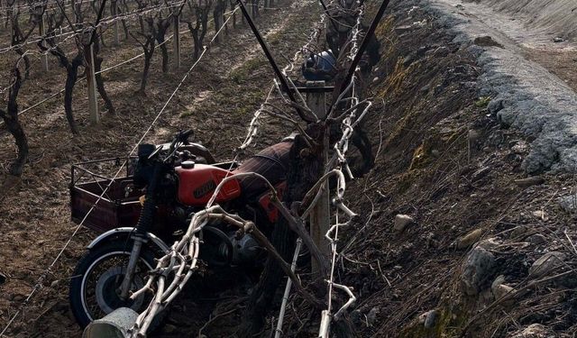 Sepetli motosiklet üzüm bağına uçtu: 1 ölü