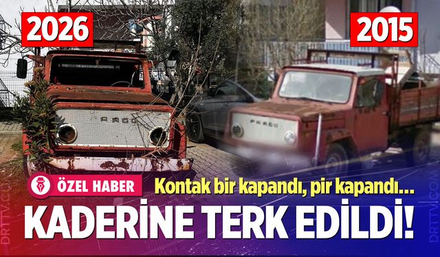 Yıllardır yerinden kımıldamayan kamyonetten ağaç filizlendi