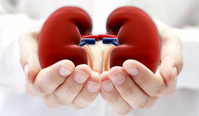 Sağlıklı Böbrek, Sağlıklı Hayat!