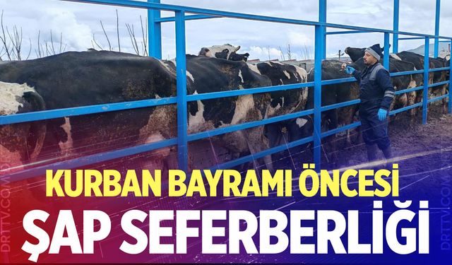Kurban Bayramı öncesi şap seferberliği