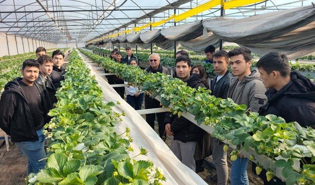 Baklan’da öğrenciler topraksız tarımı yerinde inceledi