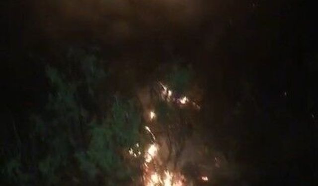 Ormanlık alanda çıkan yangın büyümeden söndürüldü