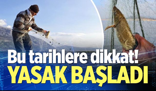 Av yasağı başladı