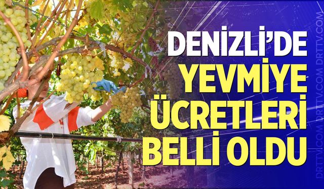 Denizli’de yevmiye ücretleri belli oldu