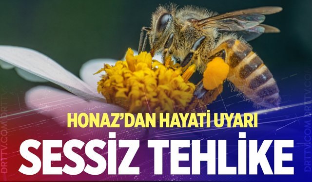Honaz Belediyesi’nden üreticiye ‘arı’ çağrısı